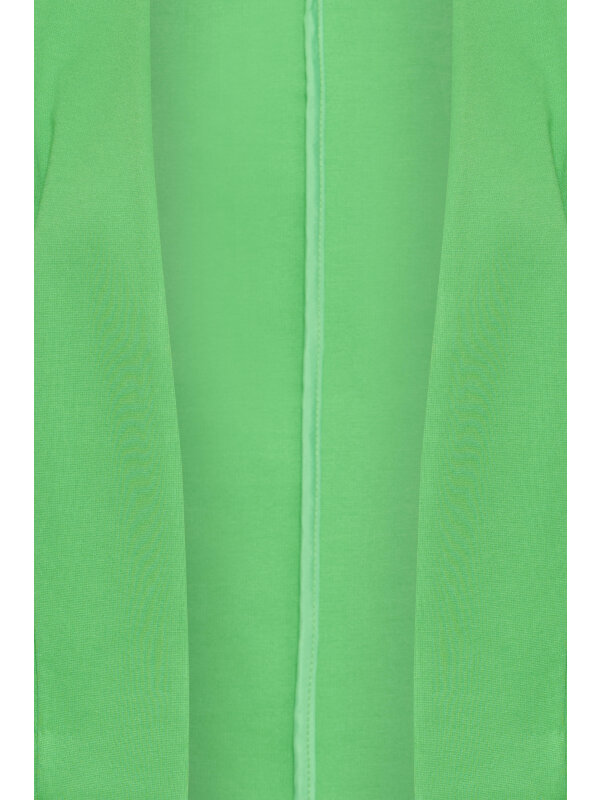 ICHI - IHKATE SHORT BL