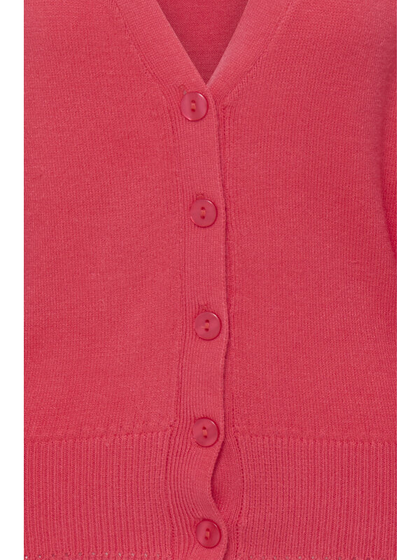 ICHI - IHSELLA CA4 ICHI - IHSELLA CA4